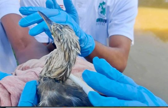 Screenshot 2023-12-26 at 1.26.57 PM